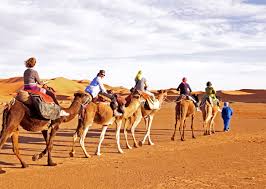  Rajasthan Tour from Mumbai